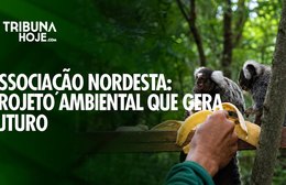 Associação Nordesta: preservação ambiental que transforma o futuro