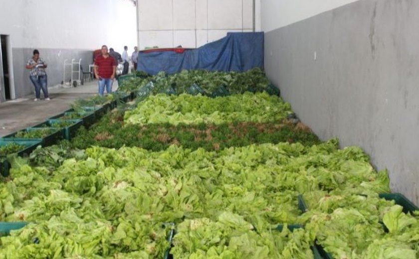 Prefeitura de Arapiraca inscreve entidades para programa de aquisição de alimentos