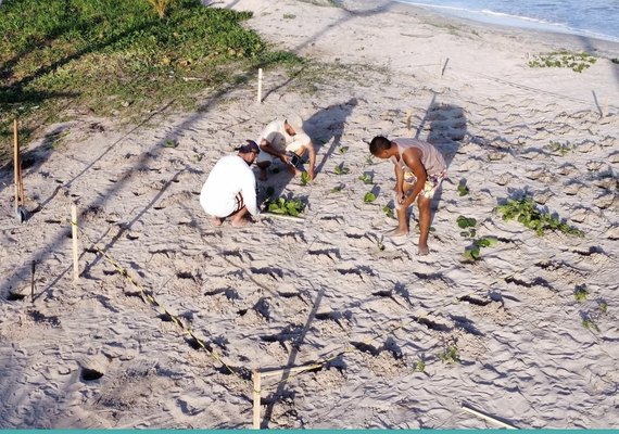Japaratinga recebe o Selo de Ouro de certificação nacional
