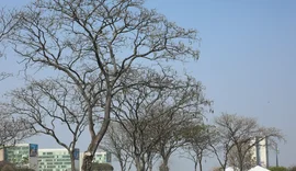 Grande parte do país tem temperaturas elevadas nesta terça-feira