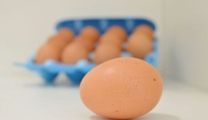 Vigilância Sanitária esclare consumo e acondicionamento do ovo