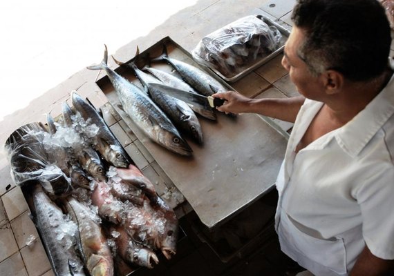 Sesau orienta cuidados na compra e conservação de pescado