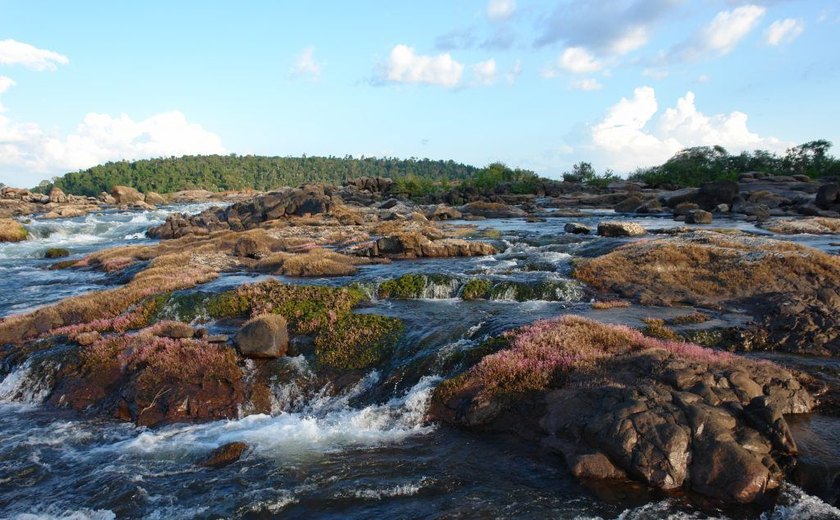 Pesquisadores denunciam ameaça por críticas a projeto de mineração no Xingu