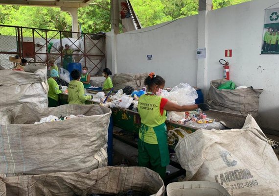 Cooperativas seguem orientações de saúde e higienização nos galpões