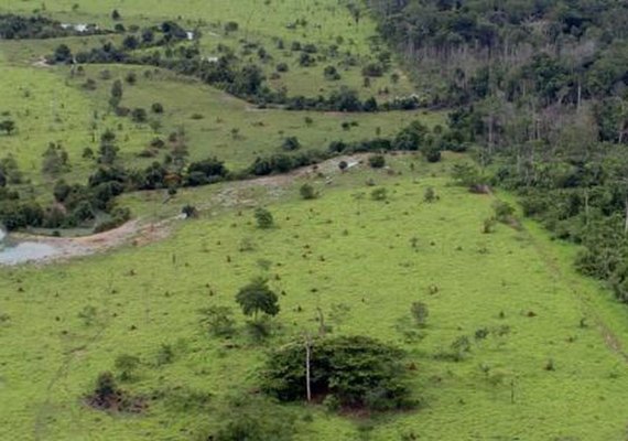 Unidades da Sesau atendem mais de 95 mil pessoas no mês de outubro