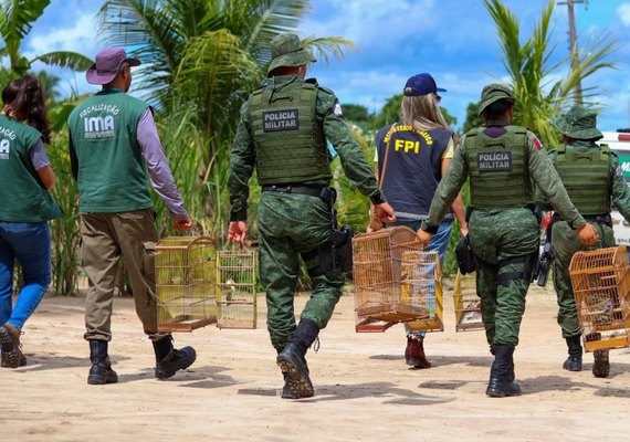Batalhão Ambiental resgata mais de 3.700 animais silvestres mantidos em cativeiro
