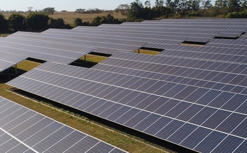 Produtores rurais investem em energia solar para reduzir custos