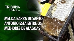 Mel da Barra de Santo Antônio está entre os melhores de Alagoas