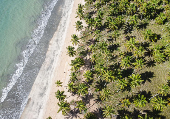 Praia do Salgado, em Japaratinga, deve ganhar o maior projeto de bangalôs e flats do Litoral alagoano