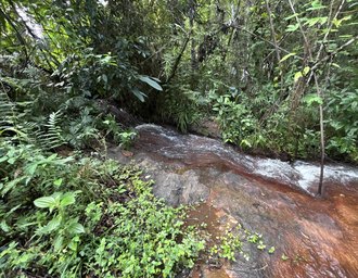 Rota do Cacau amplia ecoturismo e preservação ambiental em Matriz de Camaragibe