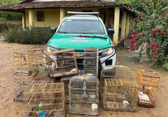 BPA apreende armas e resgata animais silvestres durante operação na Zona da Mata