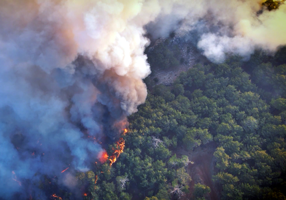 Pesquisa da Ufal alerta para manejo do fogo no combate à mudança climática