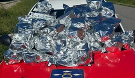 Polícia apreende cerca de 9 kg de maconha em Vila Emater