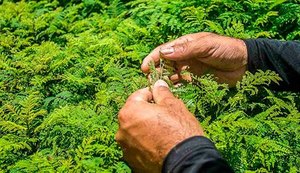 Por que o Brasil precisa de uma lei para a economia solidária?