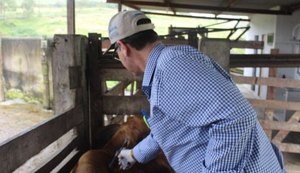 Adeal alerta sobre a importância da vacinação dos animais contra a raiva