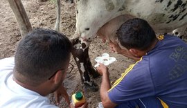 CPLA promove palestra para produtores de leite na Expo Bacia