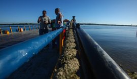 Ministro dos Transportes garante recursos para construção da Ponte de Penedo