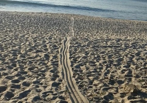 Bandidos explodem agências bancárias em Paraty e fogem pelo mar