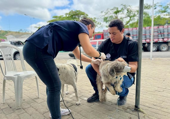 Viçosa recebe ação itinerante de Saúde & Bem-estar Animal