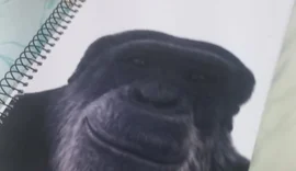 Em depoimento, professor nega ter cometido injúria racial