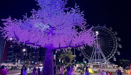 Iluminação de Natal no Parque Massay-ó-k encanta maceioenses e turistas