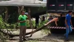 Motorista perde controle de caçamba e causa acidente na BR-104, em Maceió