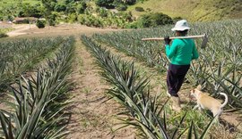 Crédito do Banco do Nordeste para o semiárido alagoano soma cerca de R$ 800 milhões em 2025