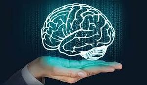 Neurociência em Sala de Aula: entenda como essa área pode ser uma aliada do processo de aprendizagem