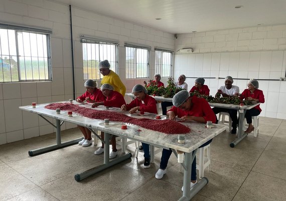 Nova etapa do projeto 'Cooperativas do Brasil - retratos de um mundo melhor' chega a Alagoas