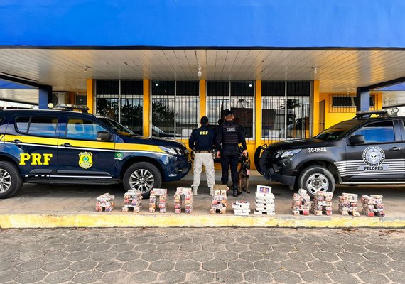 Polícias apreendem mais de 100 kg de drogas em São Sebastião