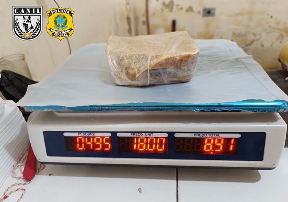 PRF e Canil do 3º BPM apreendem cerca de meio quilo de crack em Penedo