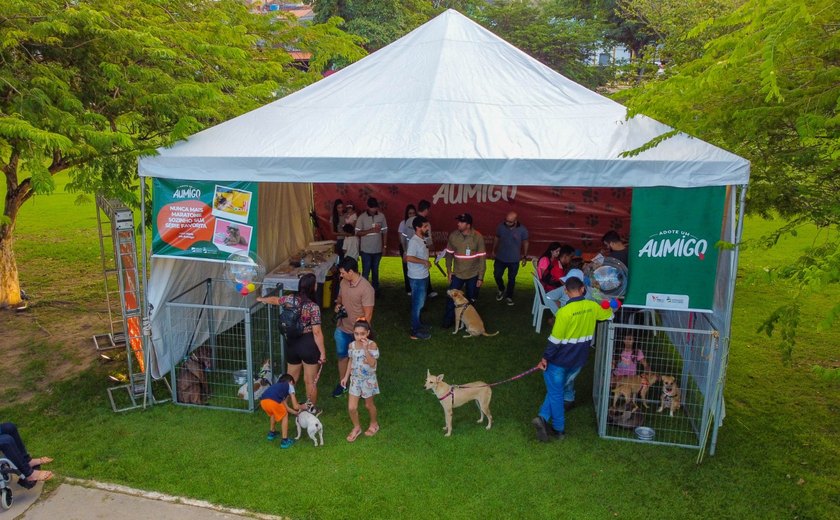 Parceria entre MVV e PetAki, 'Feira Adote Um AUmigo' impulsiona novos lares para cães