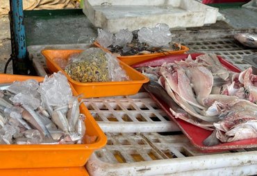 Operação fiscaliza comércio de pescado e apreende produtos impróprios em Arapiraca