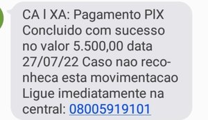 Mulher é presa em São Paulo após lesar vítima em R$ 13 mil