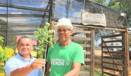 Viveiro de Arapiraca tem planta exótica mexicana