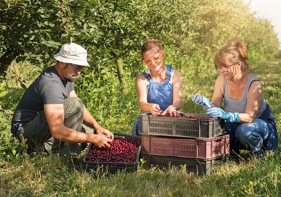 Agricultura familiar terá incentivo no âmbito do Sistema Único de Saúde