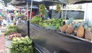 MST comercializa 458 toneladas de alimentos durante feira em Maceió