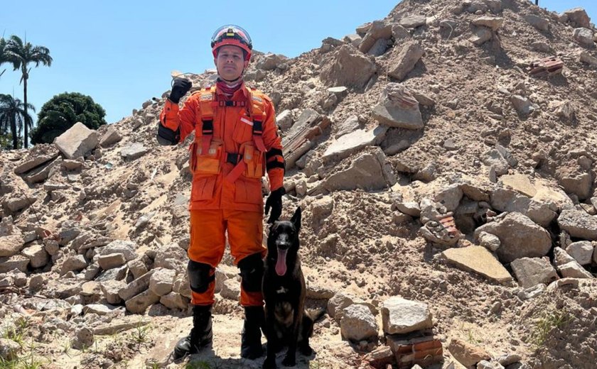 Cadela do Corpo de Bombeiros conquista duas certificações nacionais de busca