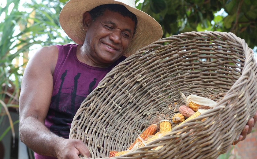 Alagoas é o estado com menor número de conflitos agrários com quilombolas