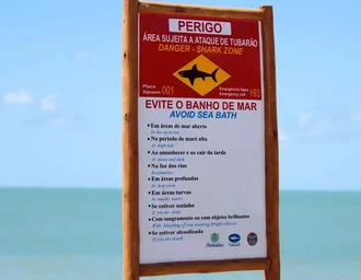Adolescente de 13 anos morre após ataque de tubarão em praia de Olinda