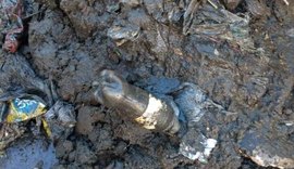 Lixo em tubulação é principal causa de alagamentos em período de chuva