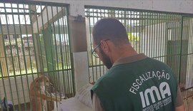 Unidade de Vigilância em Zoonoses é autuada por irregularidades em Maceió