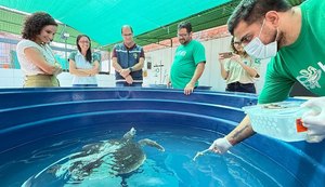 MPF participa de discussão sobre protocolo para atendimento a encalhes de mamíferos marinhos em Alagoas
