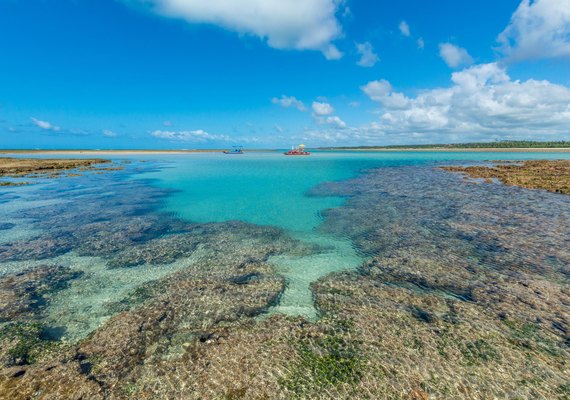 Praia de Alagoas é considerada uma das 100 melhores praias do mundo