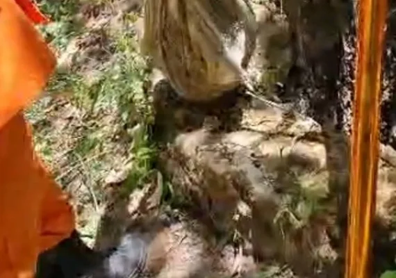 Corpo é encontrado dentro de poço na Grota da Alvorada, em Maceió