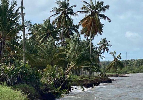 Prefeitura de Maragogi decreta situação de emergência por erosão marinha