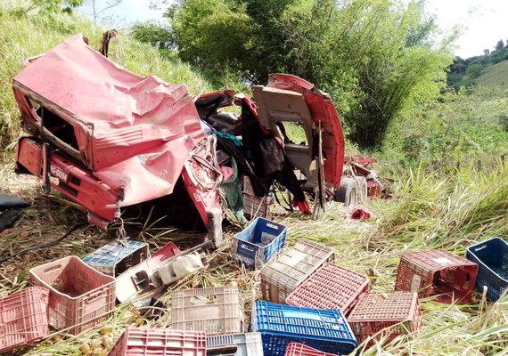 Motorista de caminhão morre após veículo cair  em ribanceira na BR-101