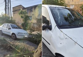 Árvore de grande porte cai e danifica carro no bairro Prado, em Maceió