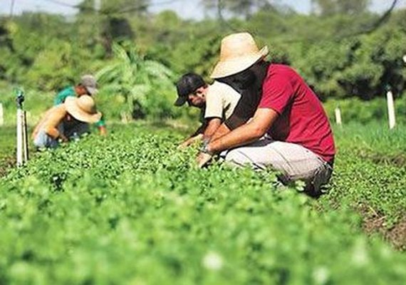 40 mil produtores cooperados terão acesso ao Selo Combustível Social
