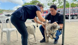 Viçosa recebe ação itinerante de Saúde & Bem-estar Animal